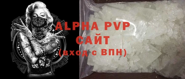 спиды Богородицк