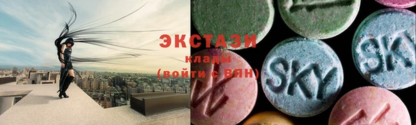 спиды Богородицк