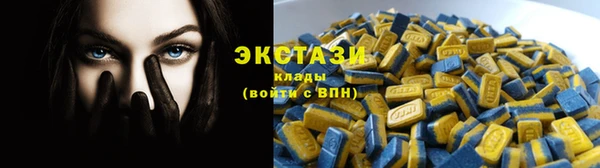 спиды Богородицк