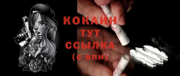 спиды Богородицк