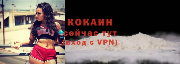 прущий лед Богородск