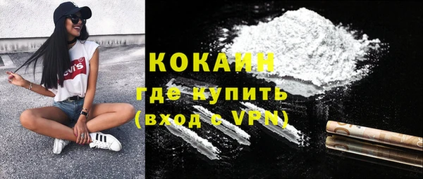 спиды Богородицк