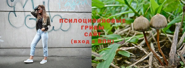 прущий лед Богородск