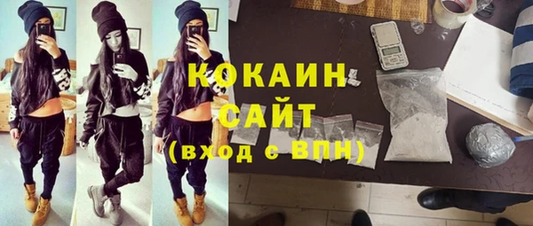 спиды Богородицк