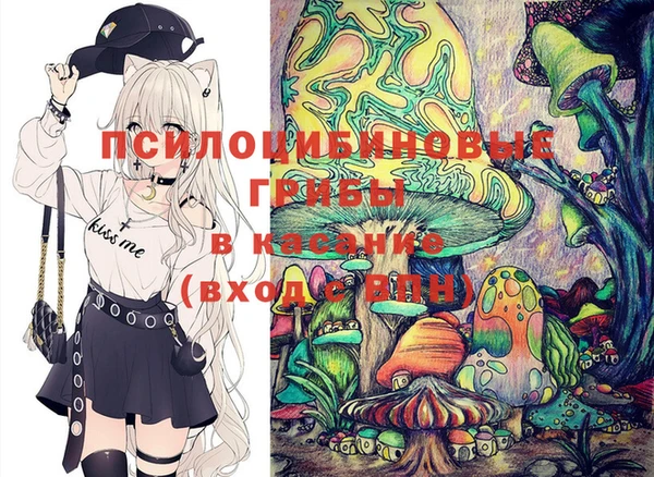 прущий лед Богородск