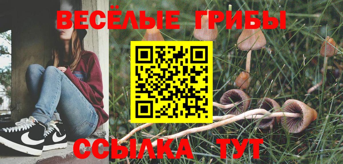 Валуйки  Галлюциногенные грибы мицелий  Вход с VPN  Псилоцибиновые грибы Psilocybine cubensis 