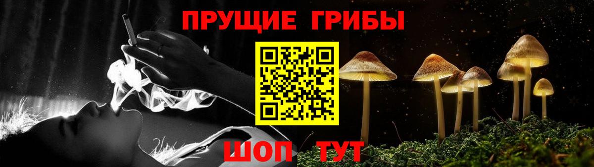 Псилоцибиновые грибы MAGIC MUSHROOMS Валуйки